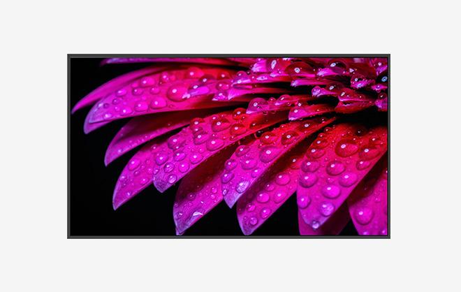 Mimiods Thumbnail Support Img Main Xl Col3 Hpad0 X2
