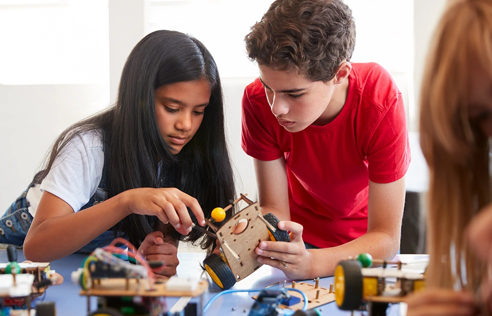 Stem Hero1
